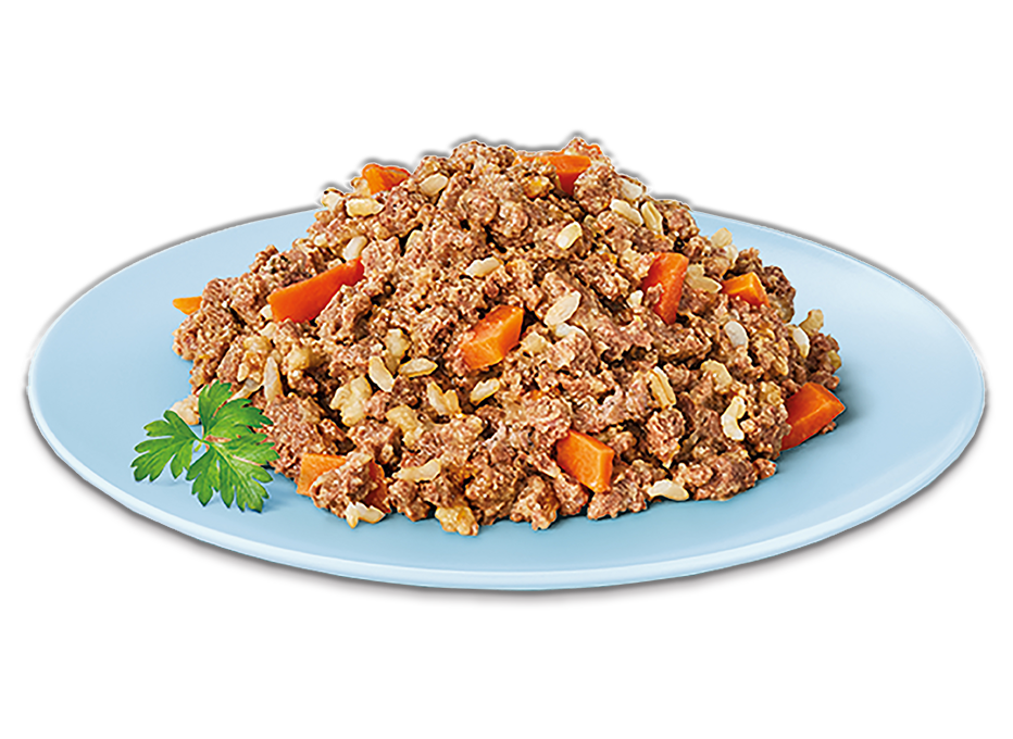 Chicken Mince with Rice & Carrots - 4