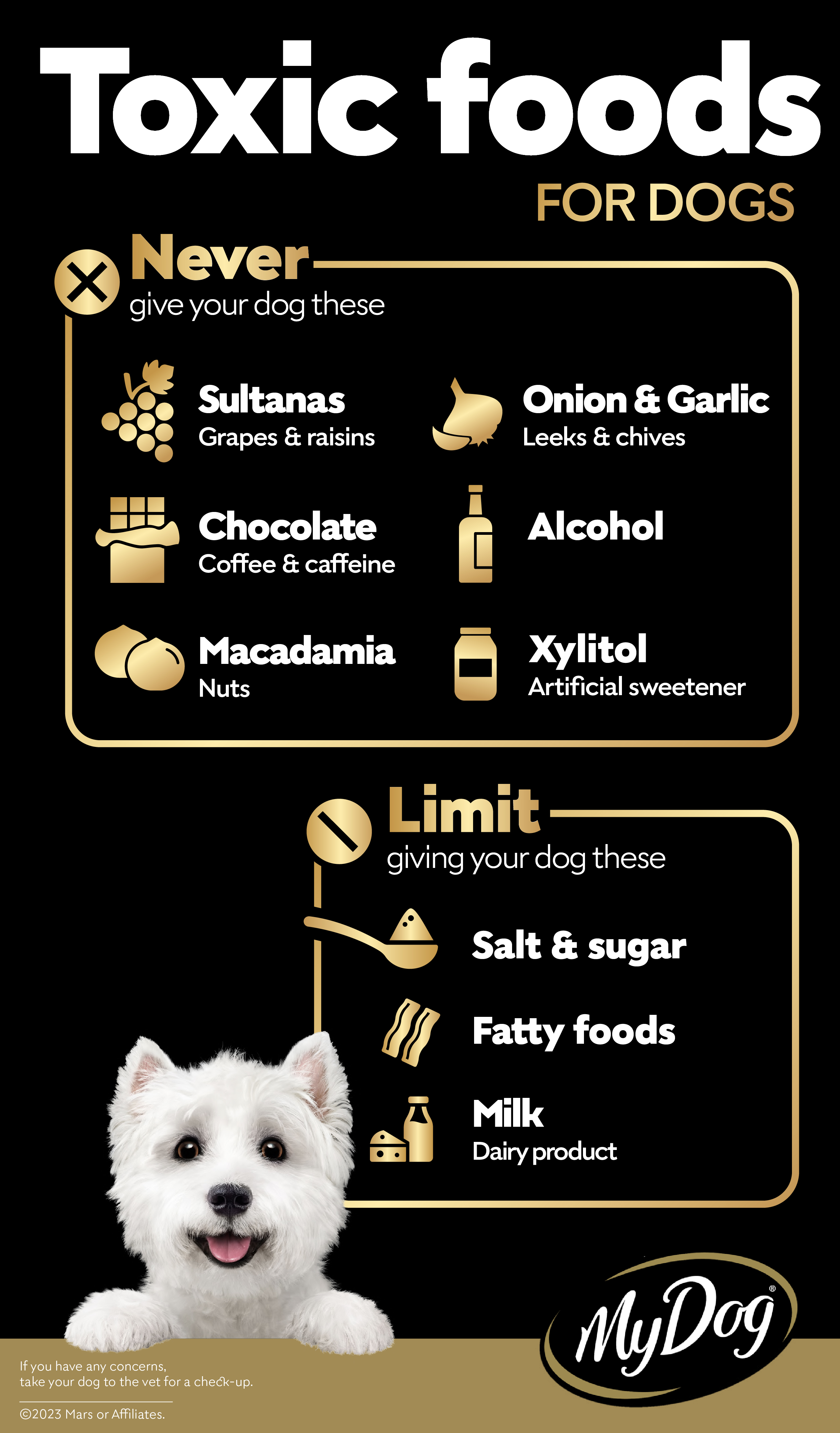 Toxic food for dogs