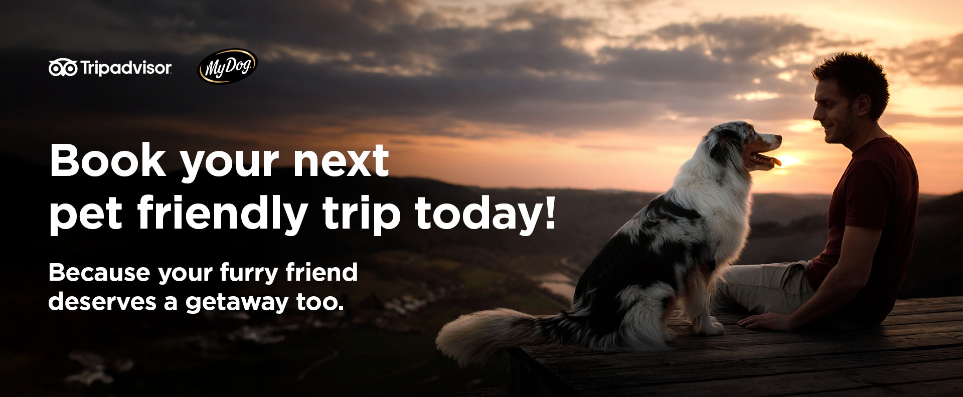 Hero image - Desktop