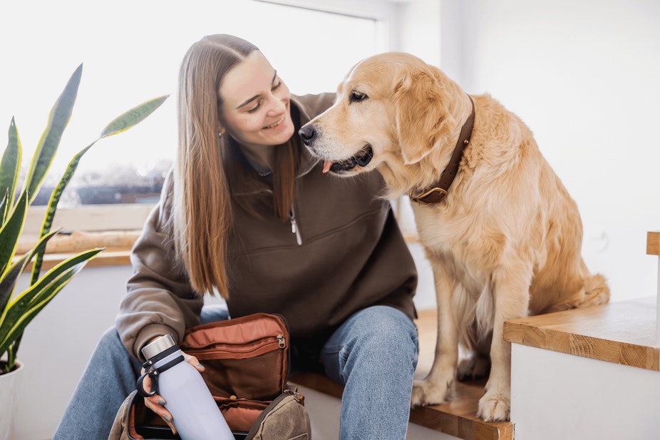 Depression in Dogs