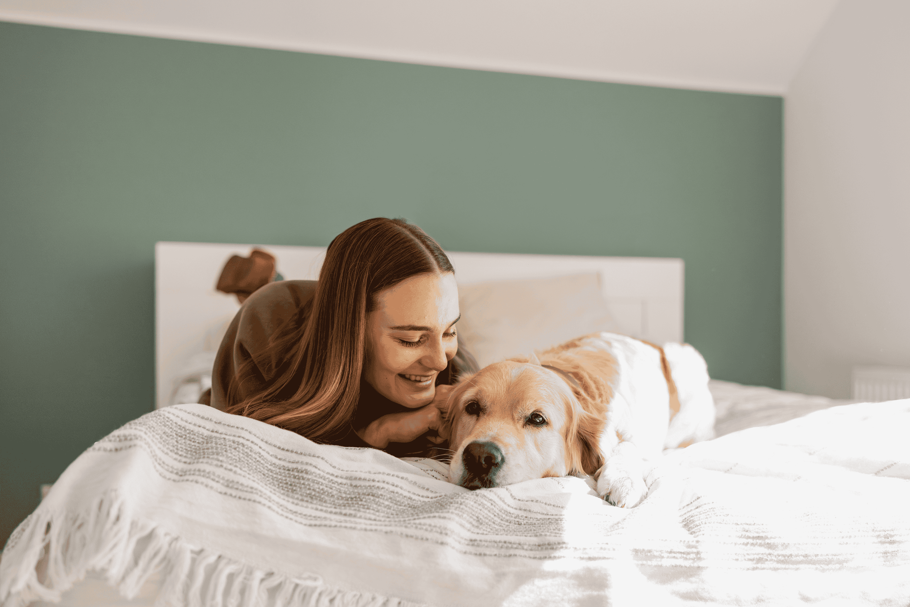Settling Your Dog into a New Home