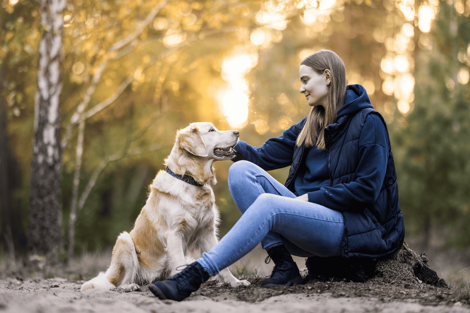 Dry vs. Wet Dog Food: Which is Better?