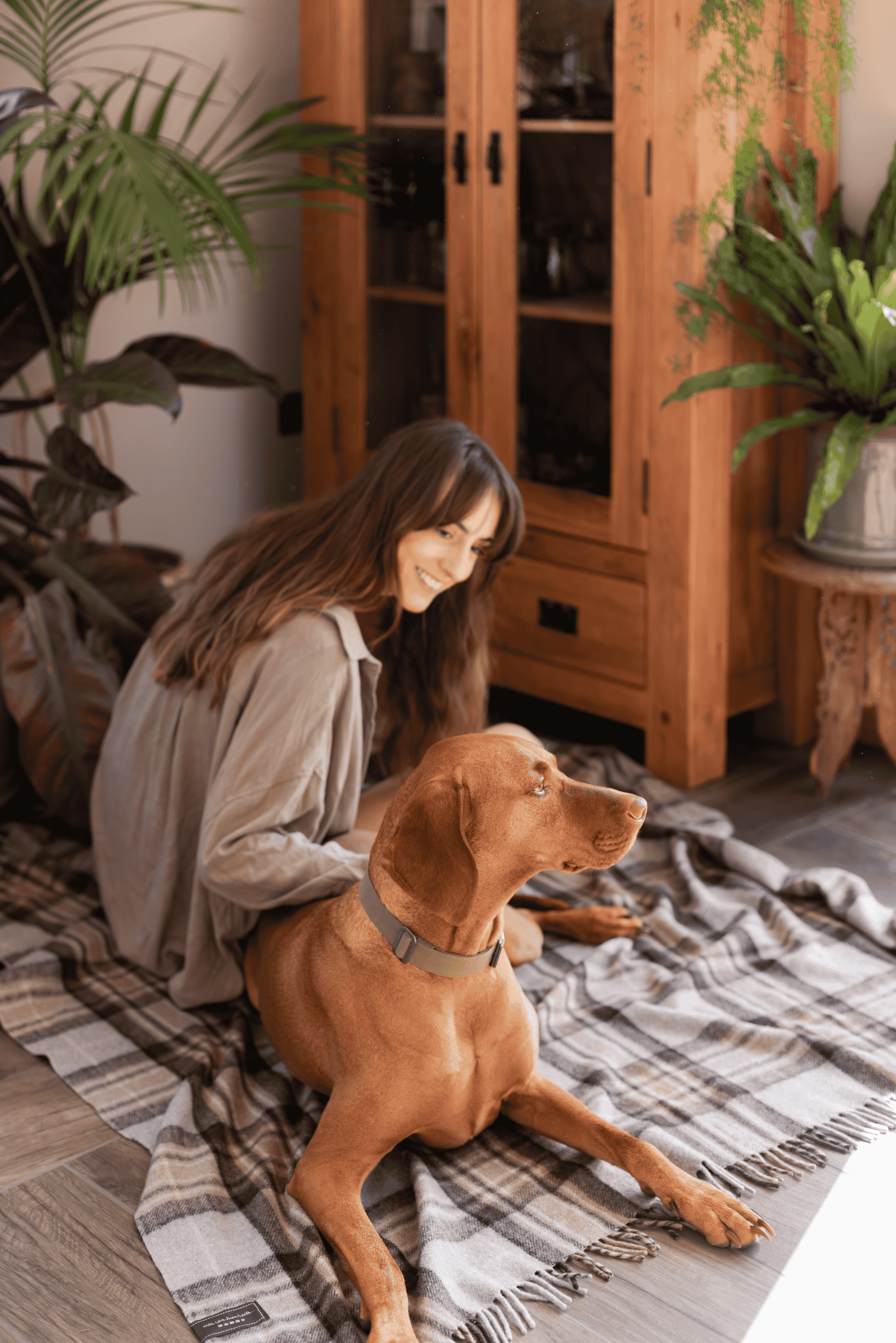 How To Clip Your Dogs Nails At Home