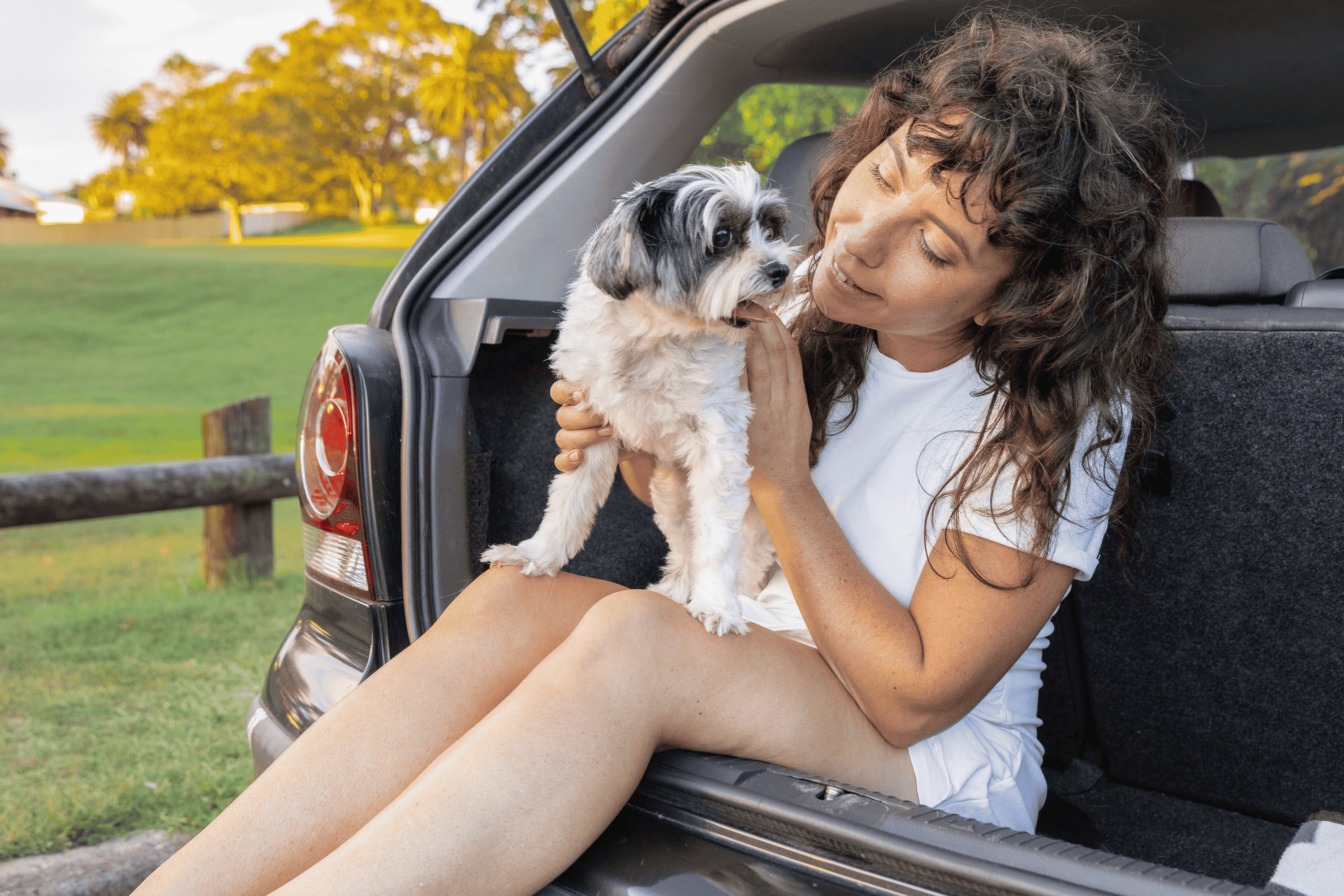 Tips For Moving House With Your Pet Dog