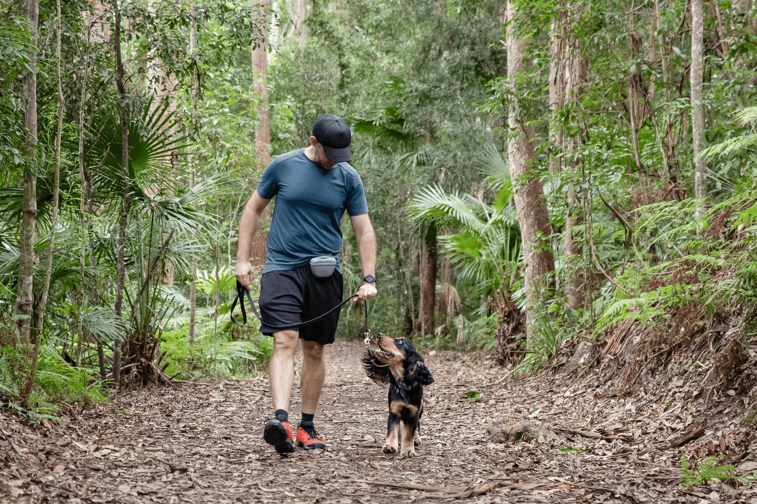 How To Travel Internationally With a Dog